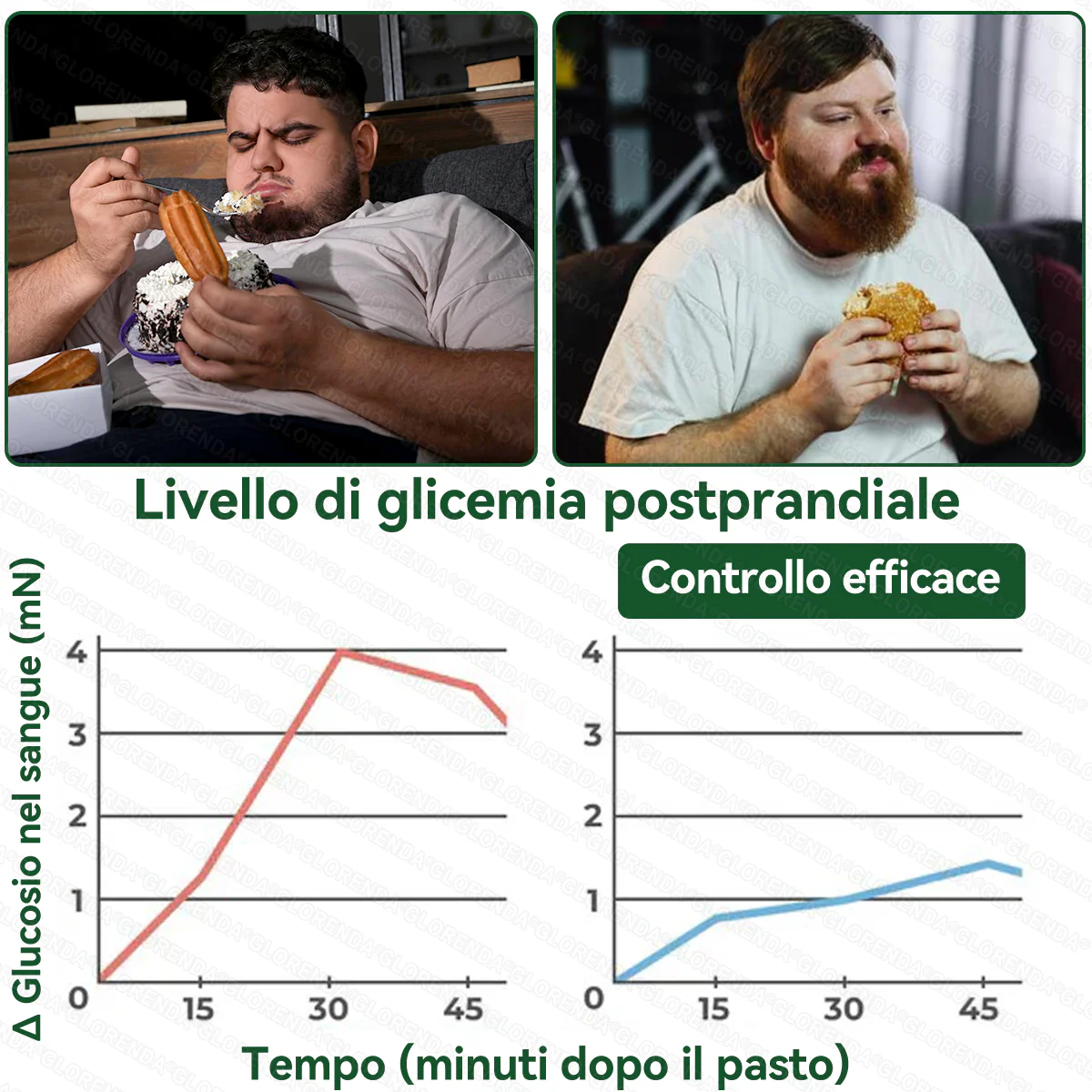 Negozio Ufficiale | 🥚🥚 GLORENDA® Moringa · Berberine × NAD+ 10-in-1 Cerotto Avanzato Nano Microneedle ✅ Per obesità, pelle rilassata, diabete, apnea notturna, problemi articolari e molto altro