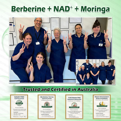 Negozio Ufficiale | 🥚🥚 GLORENDA® Moringa · Berberine × NAD+ 10-in-1 Cerotto Avanzato Nano Microneedle ✅ Per obesità, pelle rilassata, diabete, apnea notturna, problemi articolari e molto altro